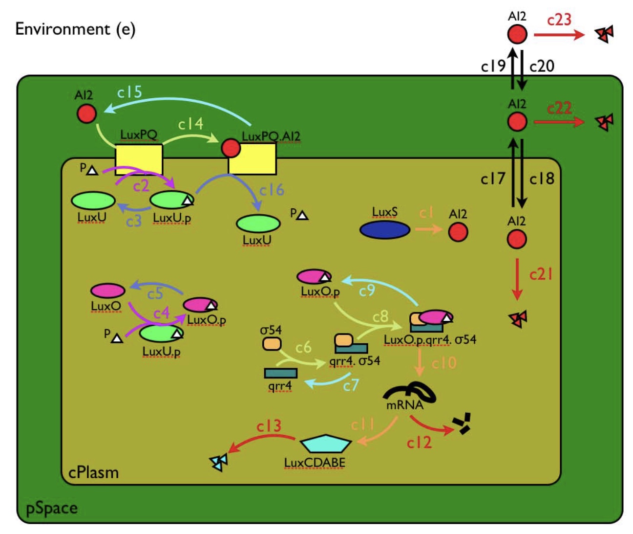 Parametric evolution of a bacterial signalling system formalized by membrane computing